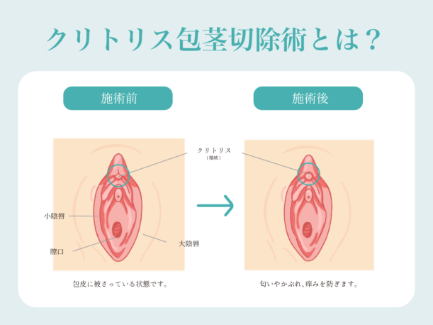 有限会社ファーストエクスプレスのドライバーの求人｜東京都葛飾区｜プレックスジョブ（旧ドライバージョブ）のドライバー求人詳細｜東京 都葛飾区｜プレックスジョブ