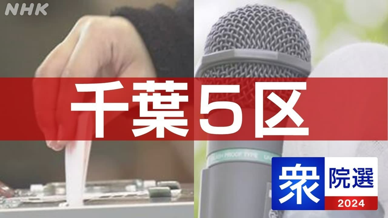 衆議院選挙 市川市 浦安市 立候補者は