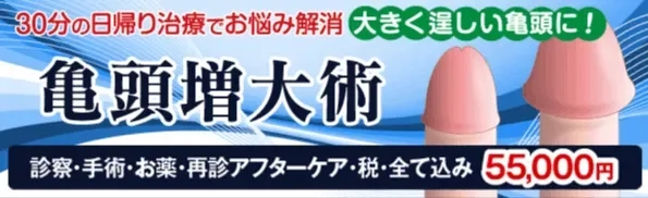 2024年最新】Yahoo!オークション -みなみりか(DVD)の中古品・新品・未使用品一覧