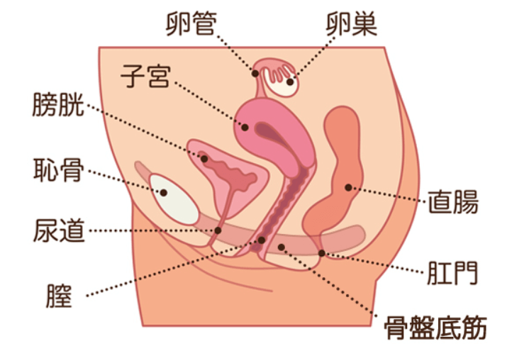 休日は 1日中オナニーってマジ？穴という穴をオチンチンで埋め尽くされたい！？オーガズムの天才！白桃はなインタビュー（第2回）(ページ 2)