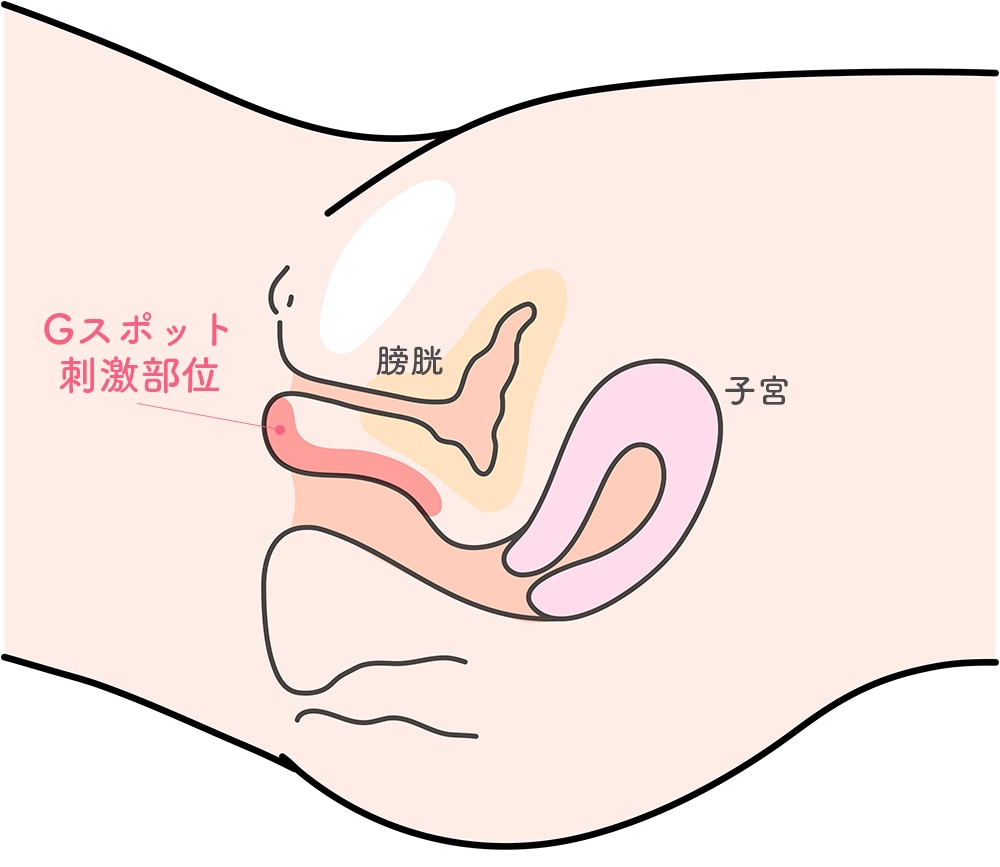 Gスポット注射｜銀座の美容外科・皮膚科ならルーチェクリニック