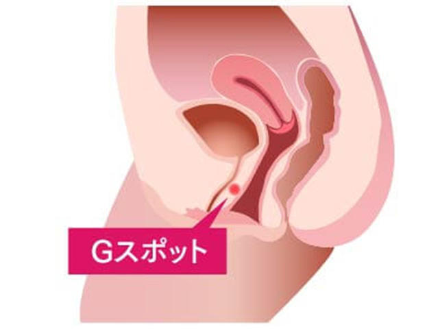 Amazon.co.jp: 女性 G スポット マッサージ