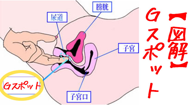 Gスポットはない人もいる!? 見つけ方と感じる方法を婦人科医がレクチャー｜GLITTER | グリッターな人生を！(スタイルマガジン『グリッター』)