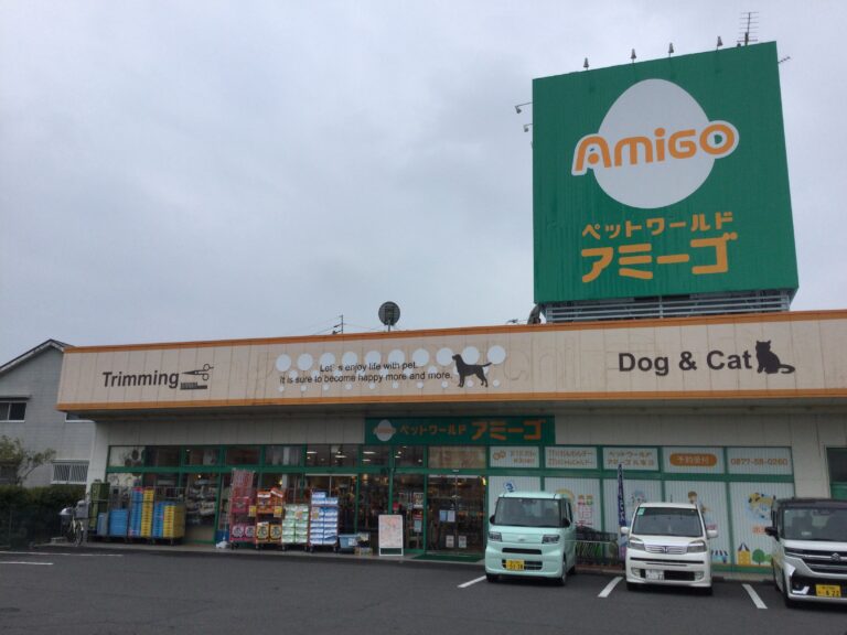 金蔵寺駅（香川県善通寺市）周辺の生命保険・損害保険一覧｜マピオン電話帳