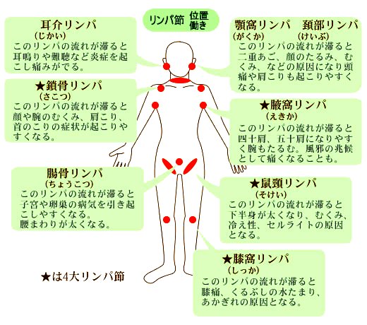 そけい部のマッサージ、なにがいいの？「やり方まとめ」 | 美的.com