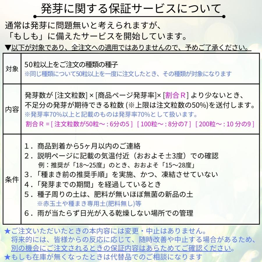 セックスの時に自ら積極的にフェラチオをする女性は○％！乳首舐めは○％！？SEXで女性から積極的に責めてもらいたいアナタは必見❤大泉りか連載『女性のココロとカラダの秘密』【第134回】(ページ  3) –