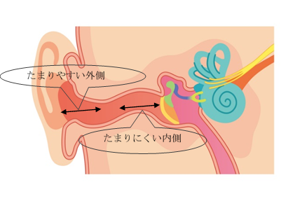 耳がかゆい」と「耳かき」｜病気について｜医療法人はかたみち はかたみち耳鼻咽喉科｜福岡県久留米市