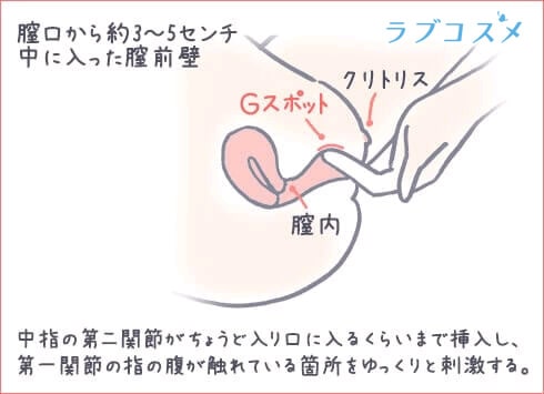 女性に潮吹きさせる為の3つの手マン方法と条件【図解・動画】 | セクテクサイト