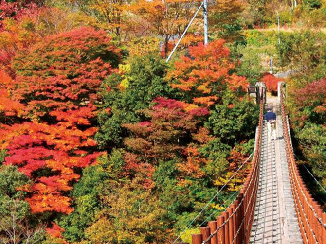 関東「穴場紅葉」がすごい！地元ツウに聞いた！おすすめ23選＜2015＞ ｜じゃらんニュース