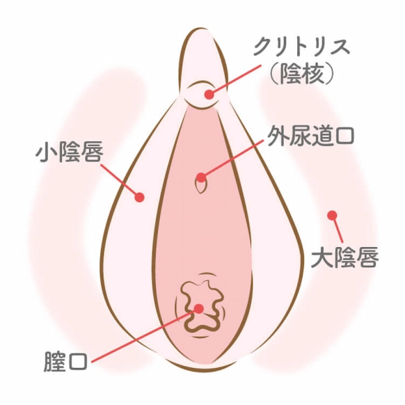 クリトリスの触り方！クリ愛撫でのいじり方 - 夜の保健室