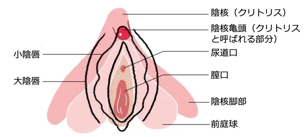 女性がクセになるシャワーオナニーのやり方を解説！気持ちいい水圧や温度について