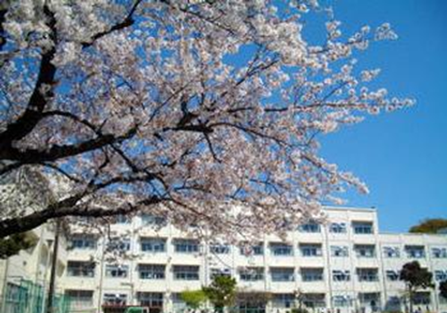 学校所在地・連絡先 - 丸山台小学校