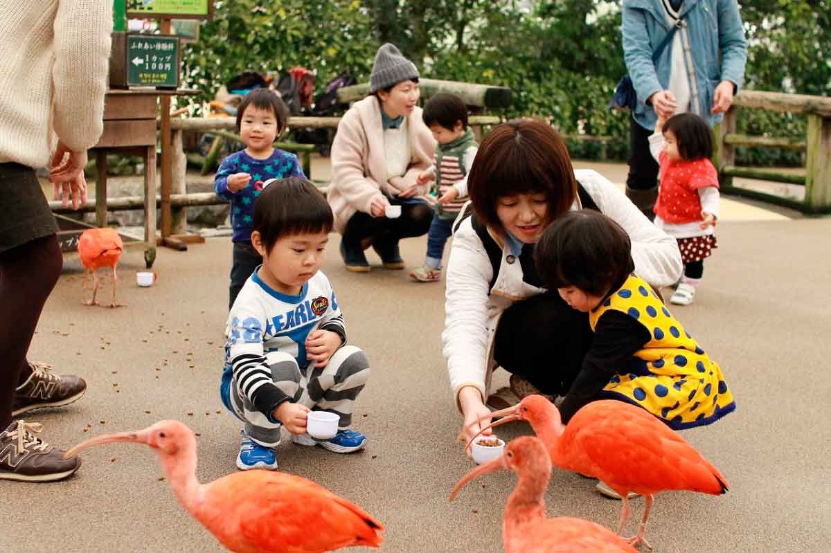 海峡ロデオ大畑