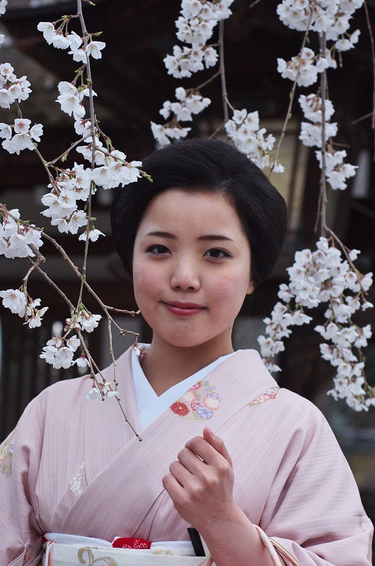 舞妓倶楽部 - 右端より、祗園甲部芸妓・彩乃（あやの）さん、祗園甲部舞妓・章乃（ふみの）さん、仕込みさん。3人そろって | Facebook