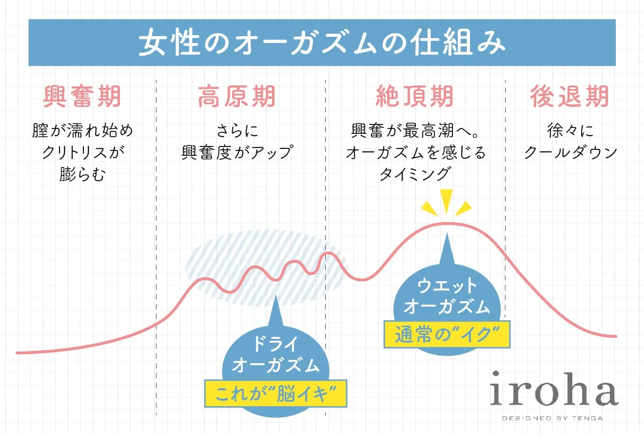 感度を上げたい女性必見！セックスでイキやすい体になる、ひとりエッチのやりかた - 女性の絶頂ブログ