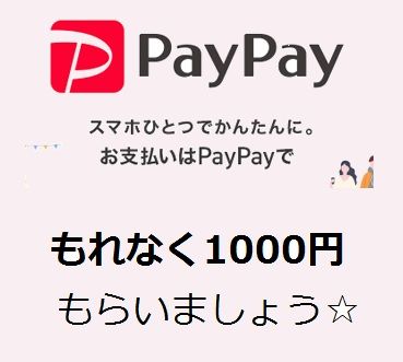 歌舞伎町出張エステ「パイパイマミー」在籍【フウカ/22歳】