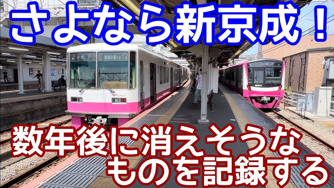 10月ピンクリボン月間 : ブログ : 松戸市議会議員