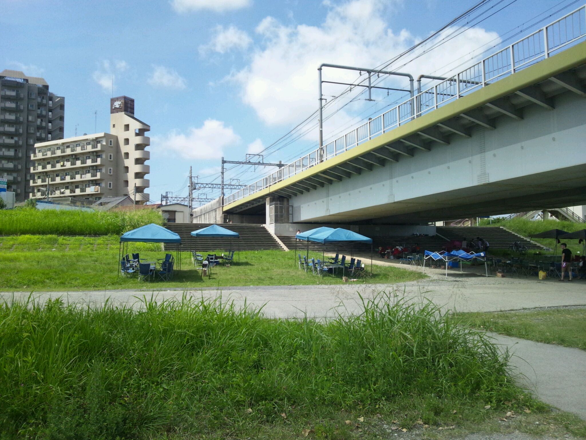 多摩川河川敷 丸子橋（川崎市中原区 二子新地 多摩川）