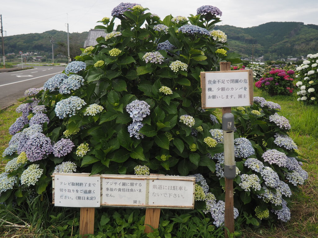 News＆Topics - 福島県立あさか開成高等学校