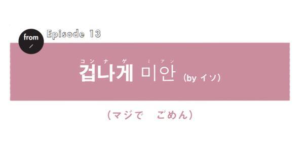 京都府福知山市方言におけるテヤ敬語の運用について