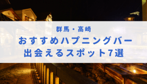 栃木の方におすすめのハプニングバー8選！客層、料金、口コミなどを解説 | オトナNAVI