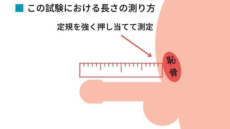 ペニスの大きさを計測する方法。ペニス測定メジャーで長さ・太さ・チン長を測定する！？【男性器】 | のりべや