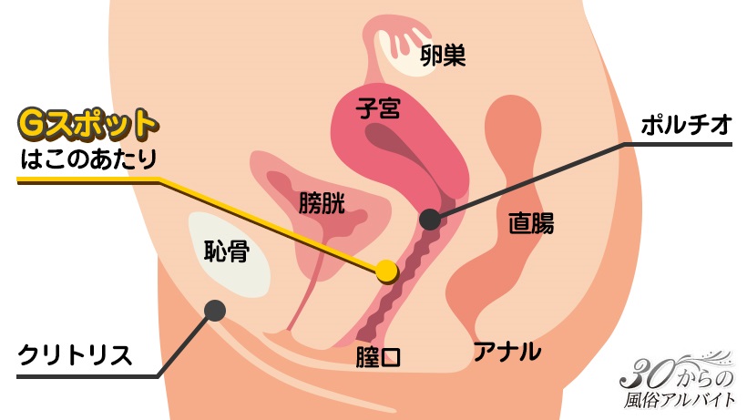 中イキしたい女性必見！医師監修の「挿入がもっと気持ちよくなる」コツ－AM