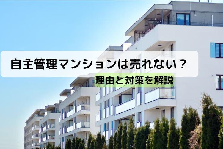 サンシティH棟（板橋区中台3-27）買うとき売るときは | 板橋マンション.com