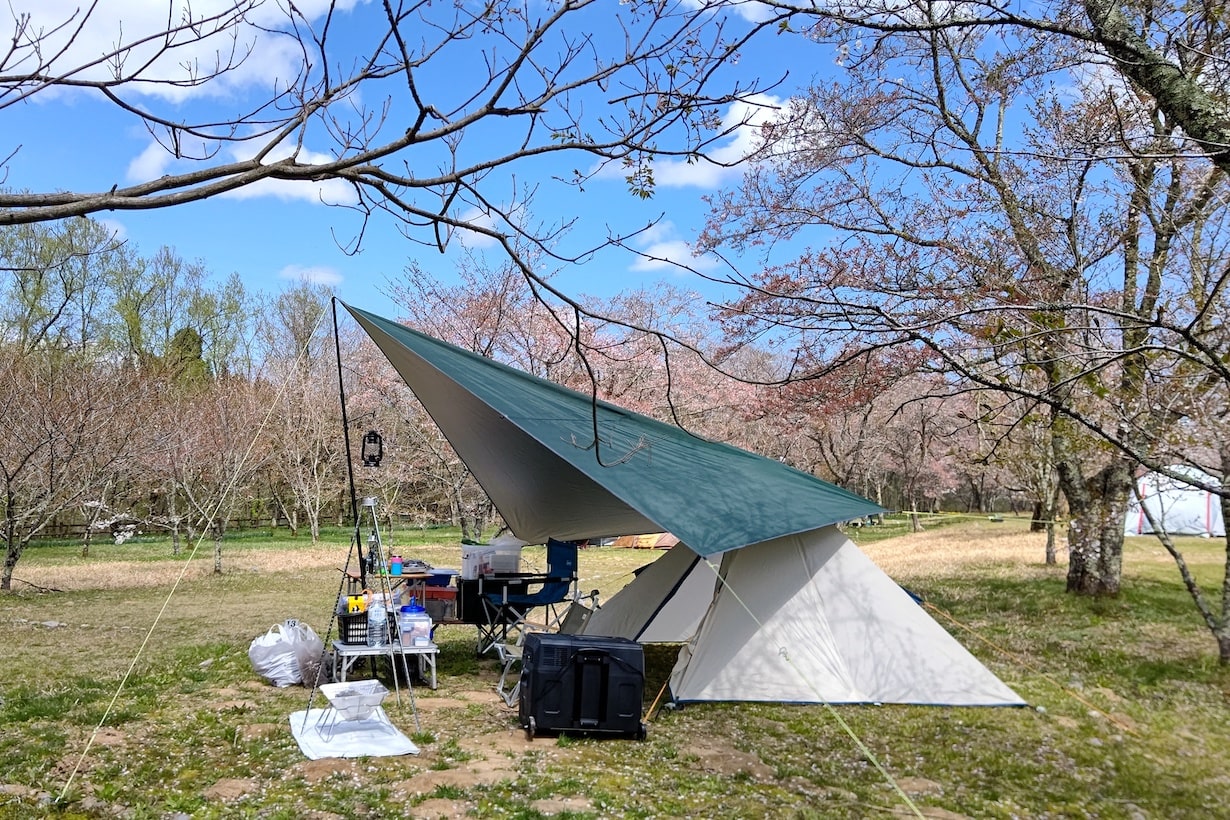 1ページ目】Ｊカップ桐山瑠衣 １１年ぶり写真集きっかけは飲み会 | 東スポWEB