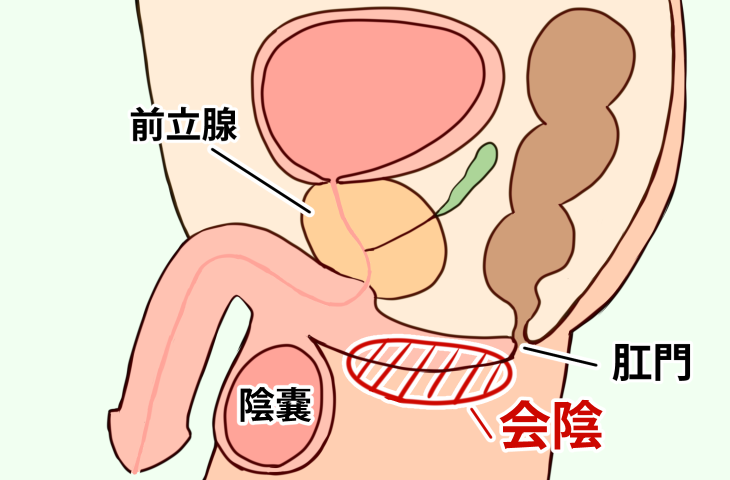 女性向け］オナニーの体勢で気持ちよさが変わる!? オススメの姿勢8選【快感スタイル】