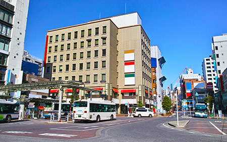 市川駅周辺 観光・旅行のおすすめ