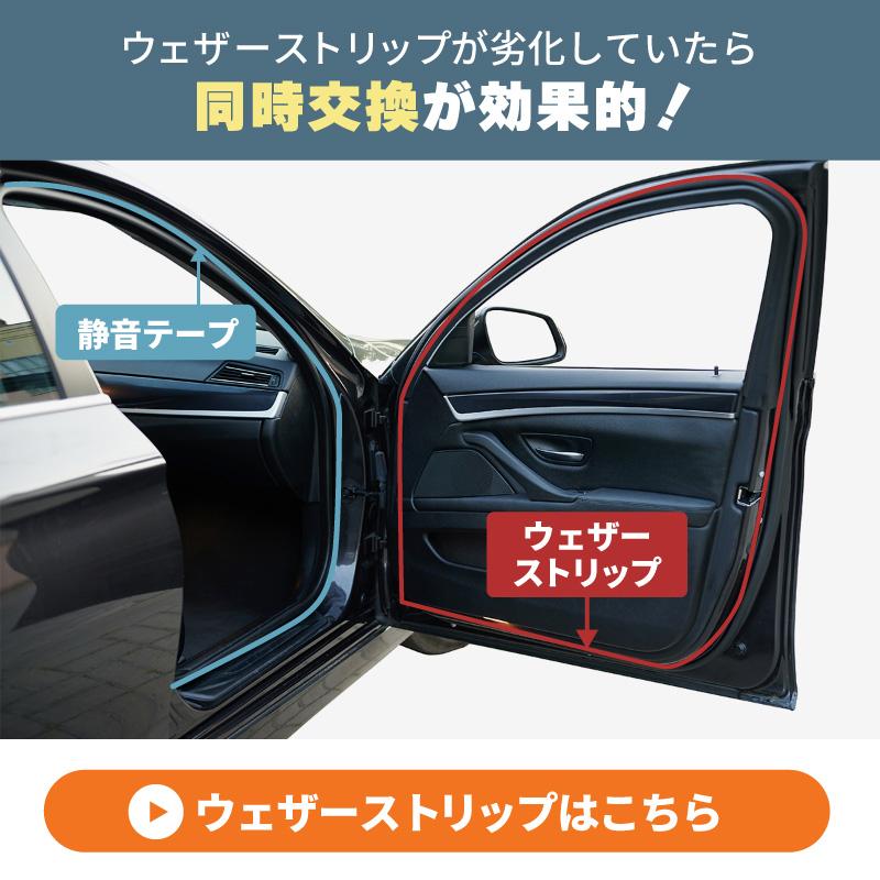 両面ファイル前面と背面の空の女性の夏の超セクシーな彫刻空の無料ストリップMNYQC87455259 | Pay ID