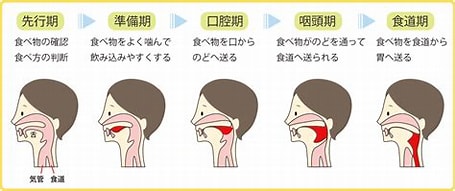 K2シロップの飲ませ方 | しあわせほっぺ♡