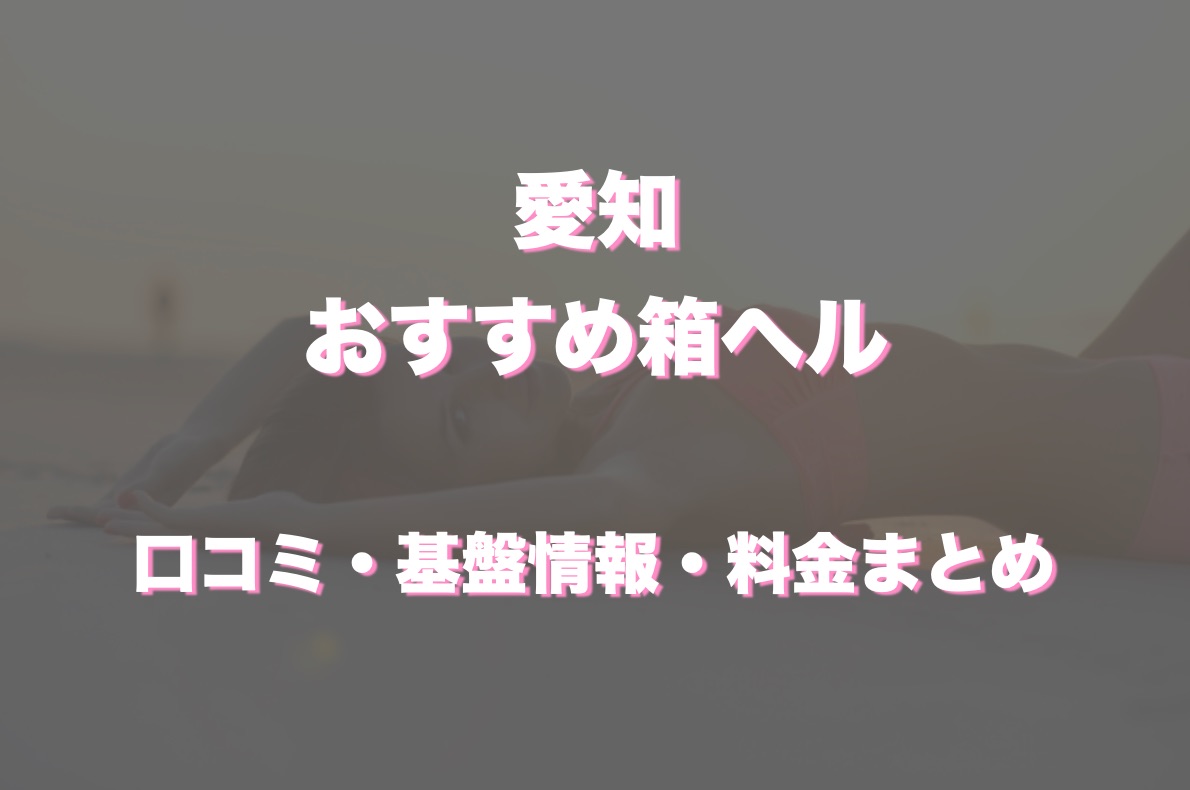 愛知 | 風俗ブログ「新カス日記。」