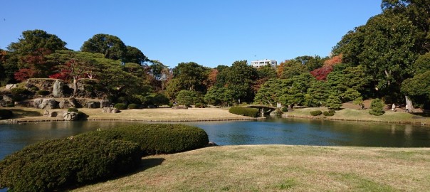 シンプルに釜抜きしょうゆうどんをいただくと、めちゃめちゃめっちゃ美味しい～♪ 上野製麺所 ＠ 高松市円座町 今年三回目の讃岐うどんツアー