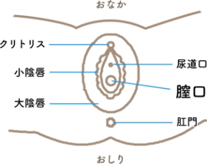 DL版＆同人誌版_男根の描き方（と消しの入れ方） - サルルルル/ドルリヘコ☆通販＆DLショップ - BOOTH