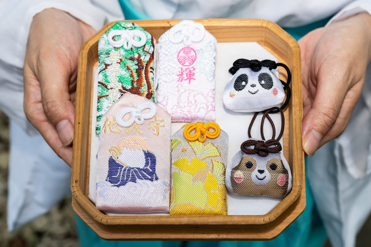 上野動物園・六義園・とげぬき地蔵・神宮イチョウ・夜の新宿 | 我が家の周りの花達