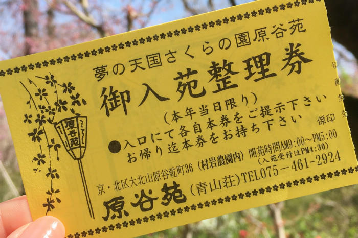 四国一の桃源郷 讃州丸亀 飯山の桃(贈答クラス）4kg（12玉～14玉）｜丸亀市｜香川県｜返礼品をさがす｜まいふる