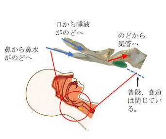 キスが多い彼の心理は9パターン。】唾液を飲ませるのは◯◯欲のサイン？ | BELCY