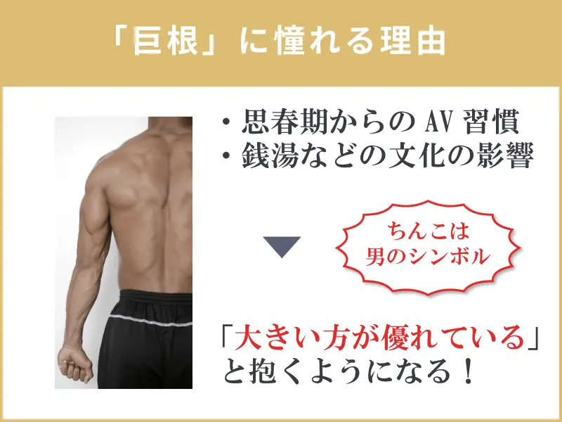 あなたは巨根？】デカチンの基準を徹底解説！巨根になる方法も紹介｜駅ちか！風俗雑記帳