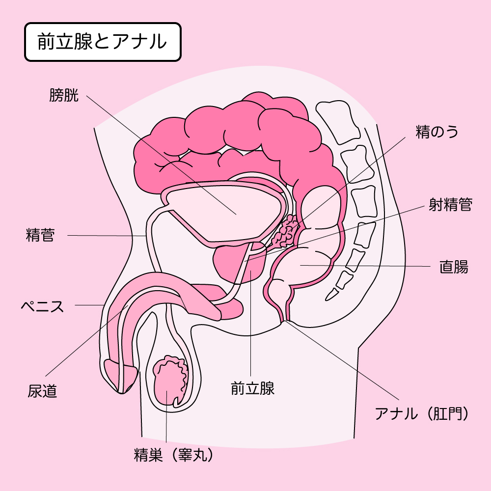 パンツ中イキ 精子付き｜トランクス｜ゲイの使用済み下着販売-男区臭人