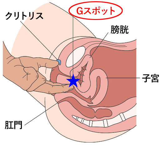 手マンで中イキさせる方法１(ポルチオイキ編) - トーリー佐藤の愛の脳イキとポルチオセックスによる中イキ