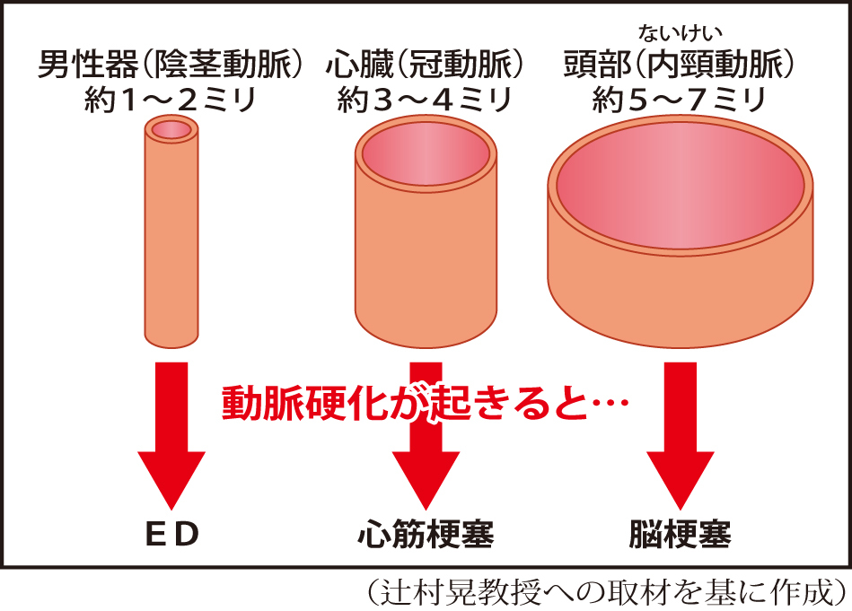 短小包茎とは！短小は何センチから？日本人の平均サイズや治療法 - アトムクリニック - atom-clinic