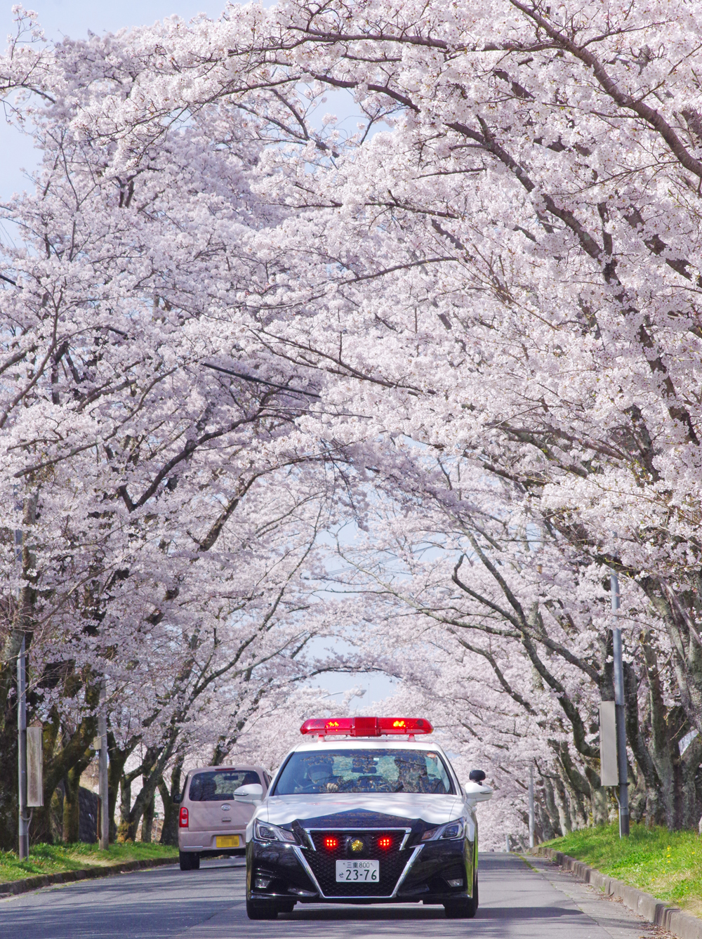 宇陀市・名張市】ゆったりと過ごす1泊2日旅｜Hinotori