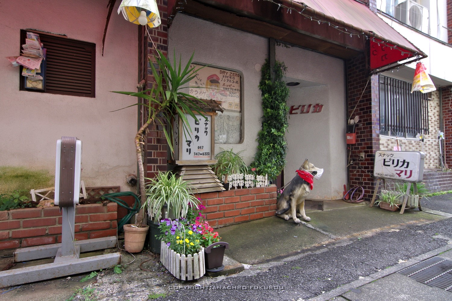 常磐線・北小金駅前，小さなスナック街と猫。 - 梟の島