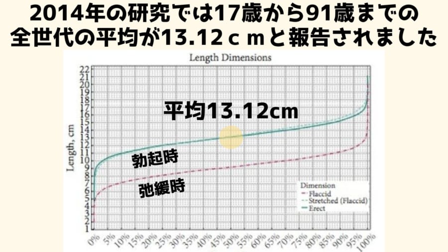 短小包茎とは！短小は何センチから？日本人の平均サイズや治療法 - アトムクリニック -