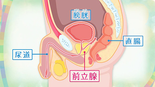 綿棒でクリち○ぽをお掃除オナニー- Luscio ラシオ