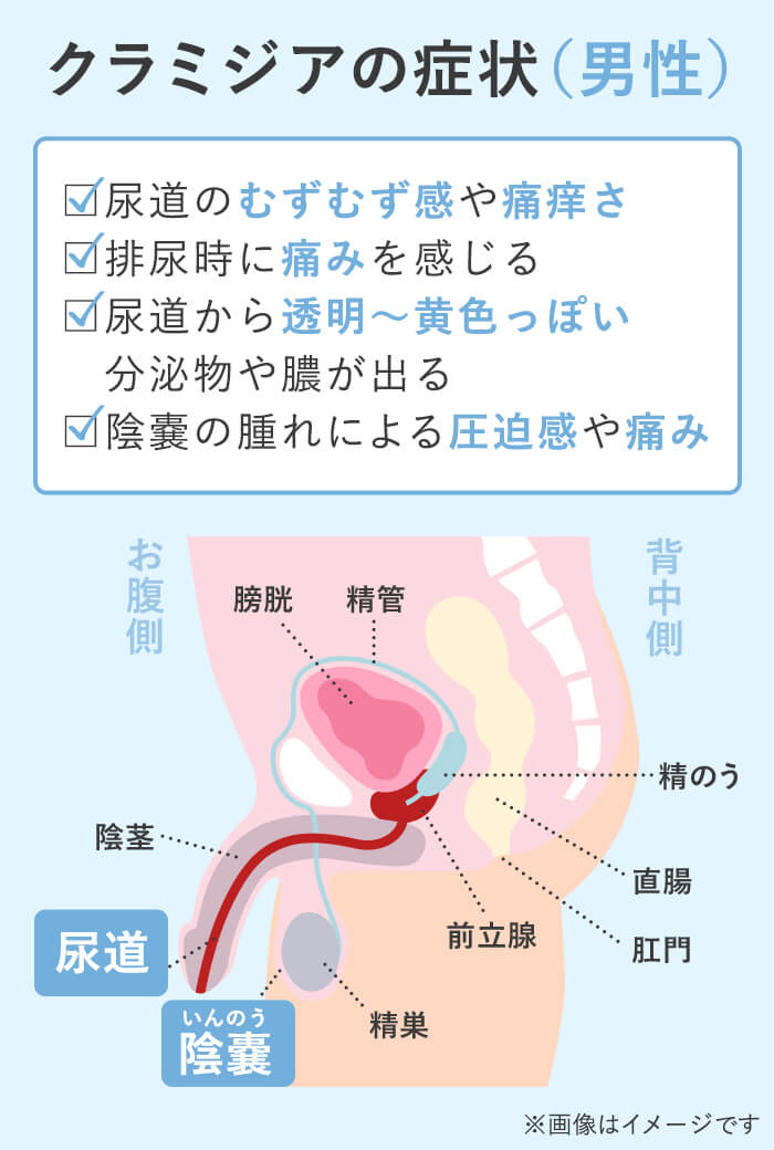 天王寺の泌尿器科「山本クリニック」が解説する男性に多い病気 | 天王寺で泌尿器科をお探しなら駅直結の「山本クリニック」へ