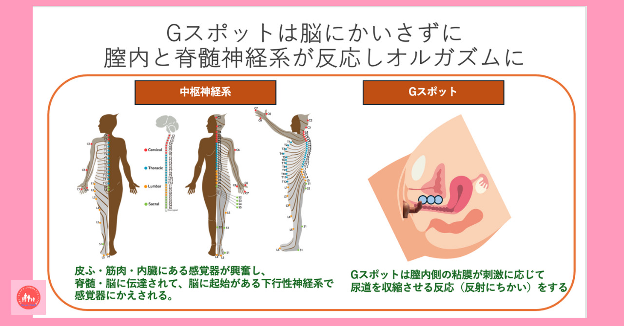 Gスポットを確実に探し出す方法３選【女性の中イキ性感帯】