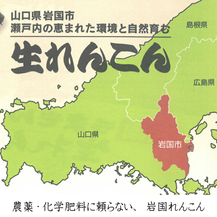 山口県岩国市×田村淳のTaMaRiBa】「世界で一番、外国人が日本酒を学べるまち」を目指し、岩国日本酒プロジェクトを始動しました！ | 岩国市